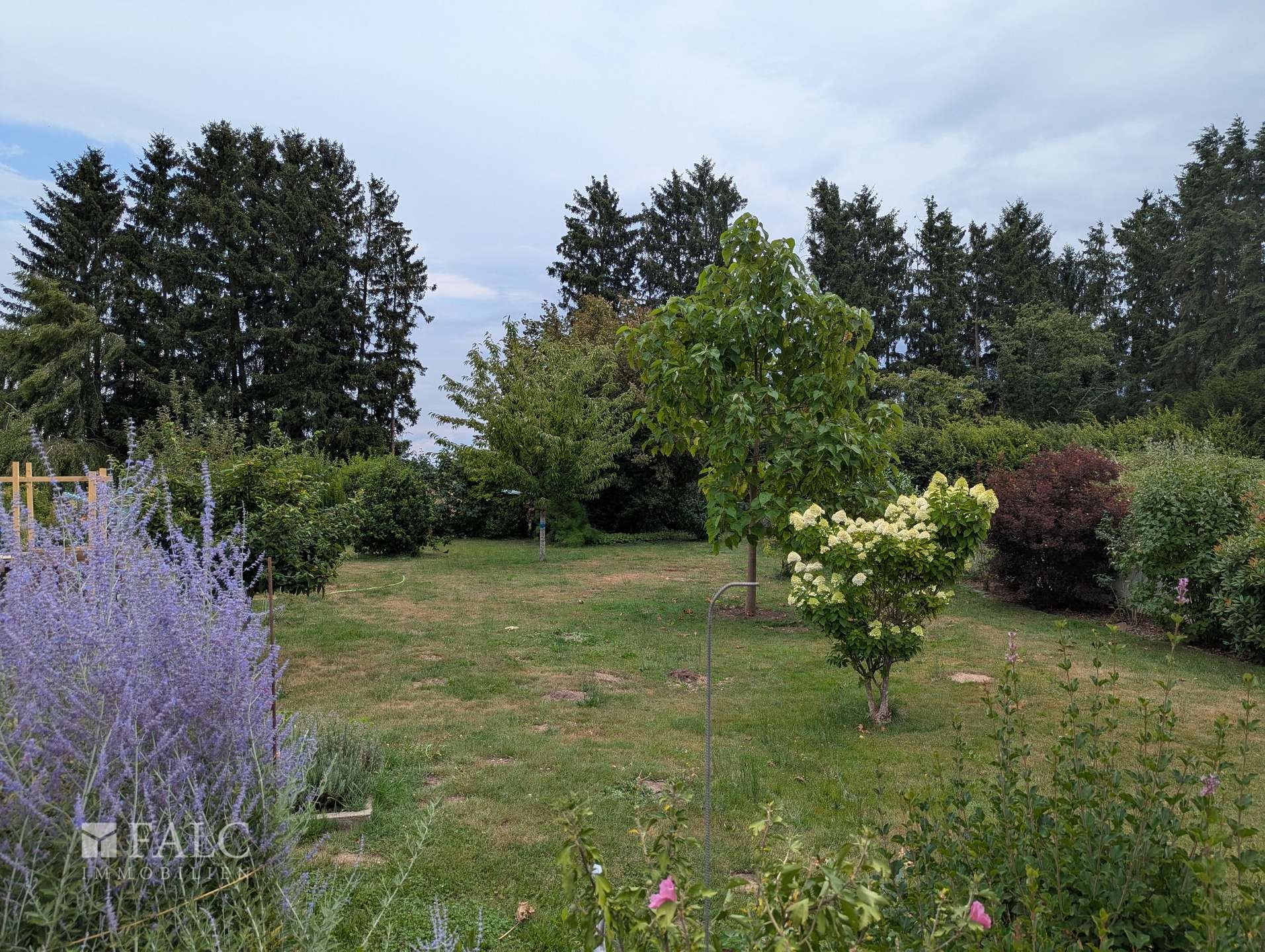 Garten II